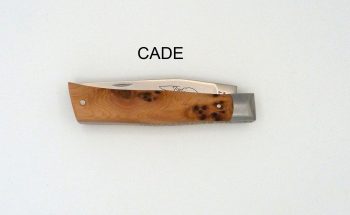 ALPIN CADE