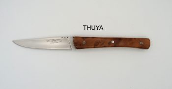 ELEGANCE THUYA OUVERT