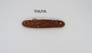 NAVETTE 1 PCE THUYA