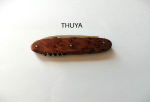 NAVETTE 2 PCES THUYA