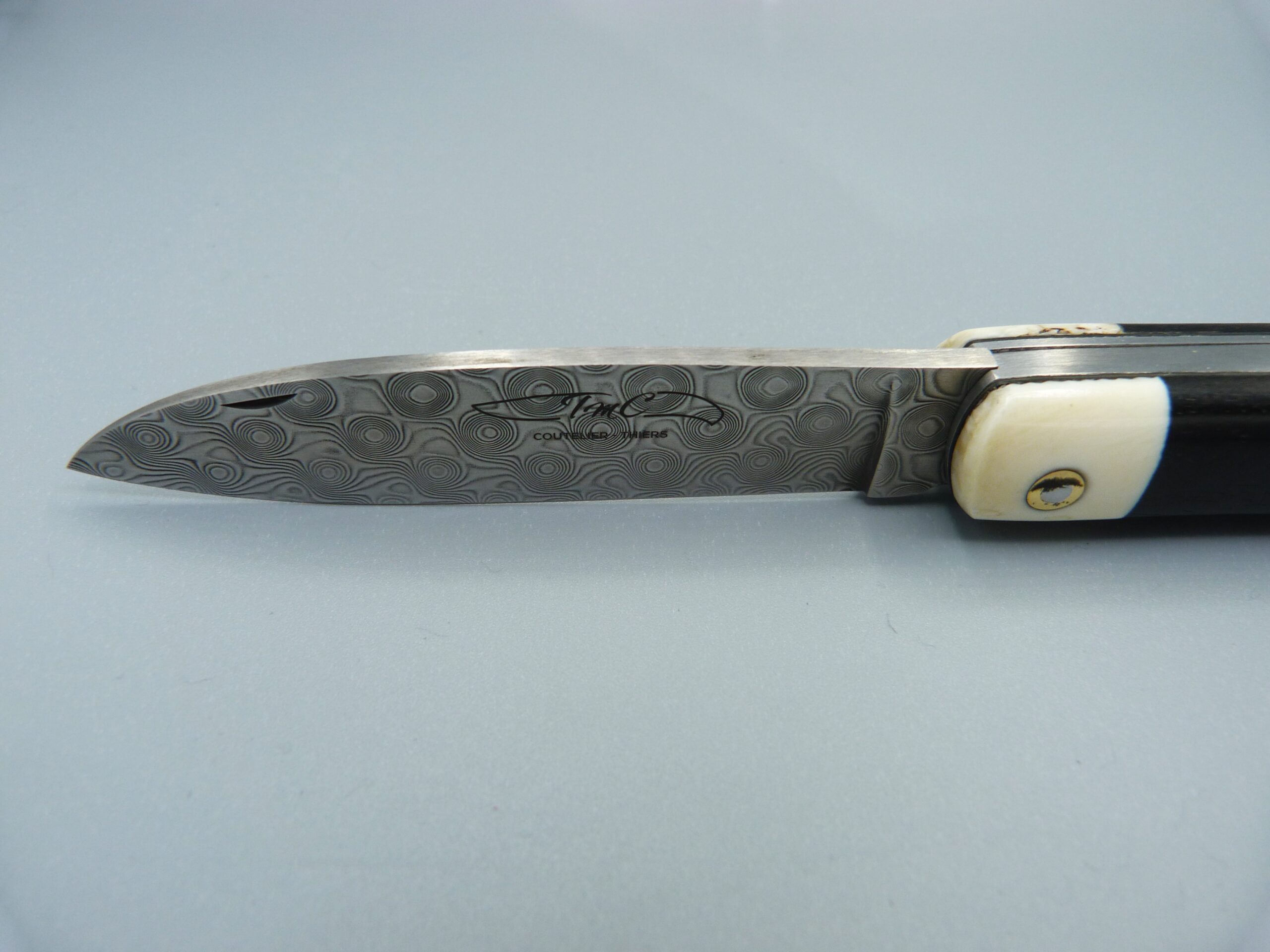 HERVAL LAME DAMAS - MANCHE EBENE - MITRE PHACOCHERE – Image 5