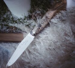 ST JACQUES HETRE ECHAUFFE STABILISE